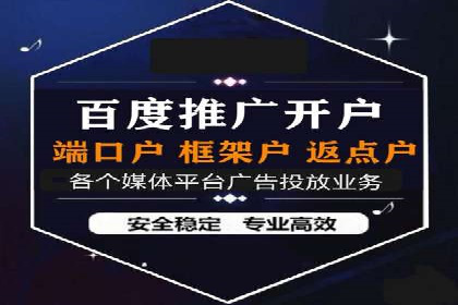 百度推广服务费案例分析：成功背后的秘密