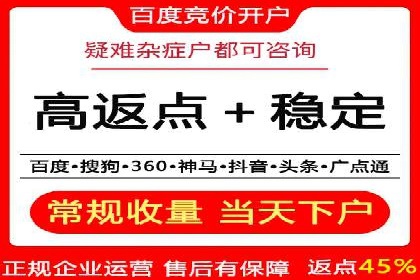 SEM投放策略优化案例分析